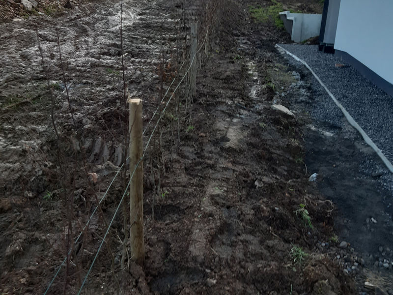 Plantation de haies